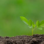 Левые, прогрессивные, движения, Индия, коммунизм, СССР, литература,